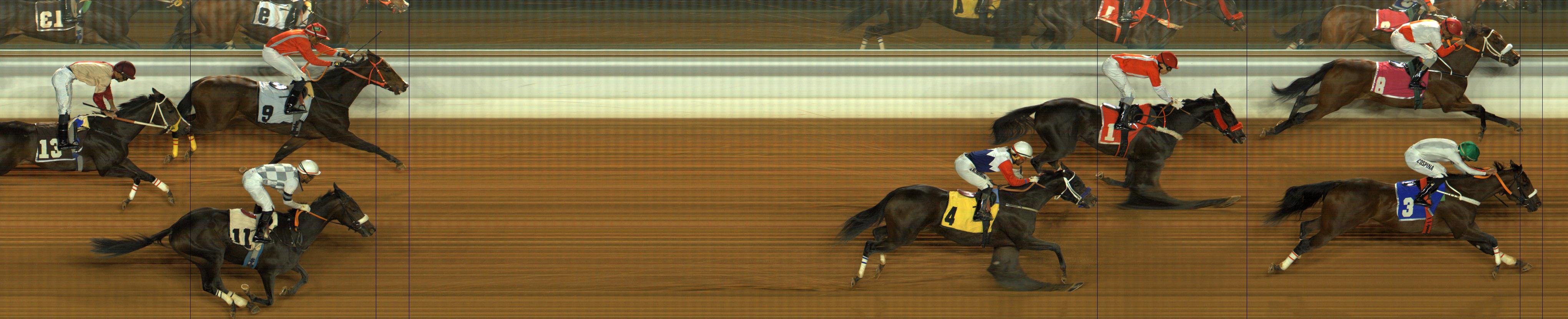 Photo finish — 2026-01-24