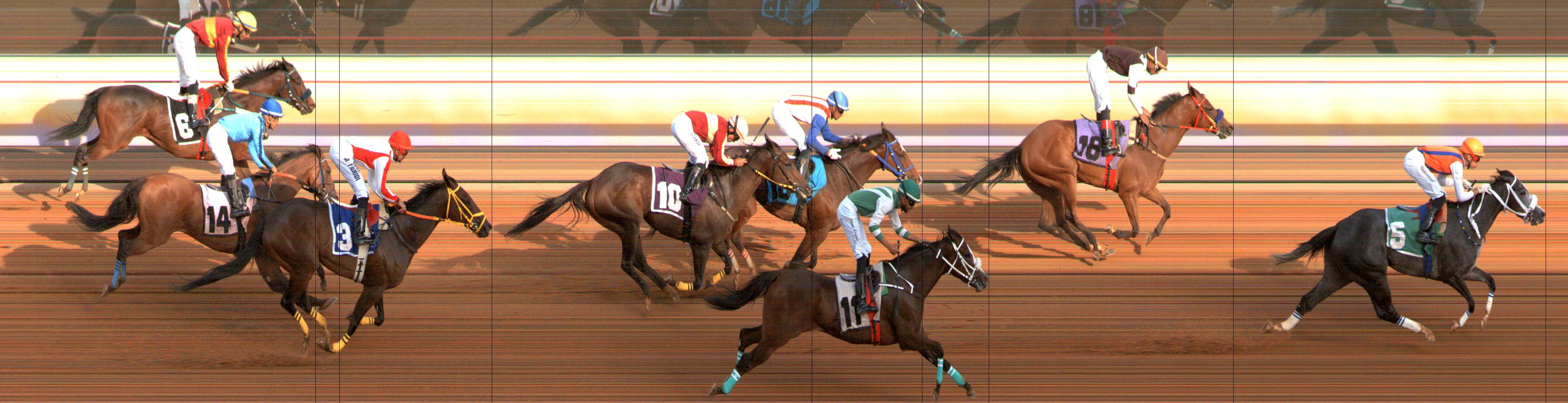 Photo finish — 2024-07-12