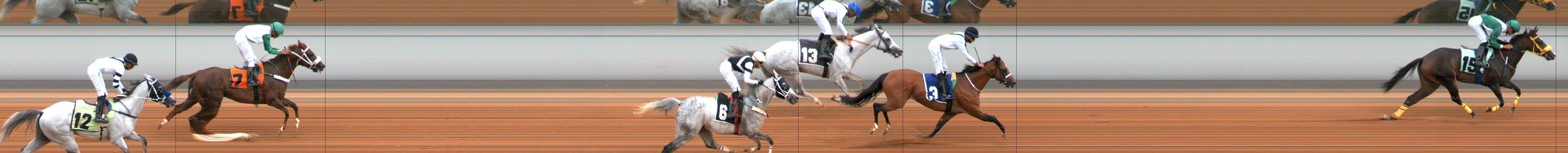 Photo finish — 2024-09-14