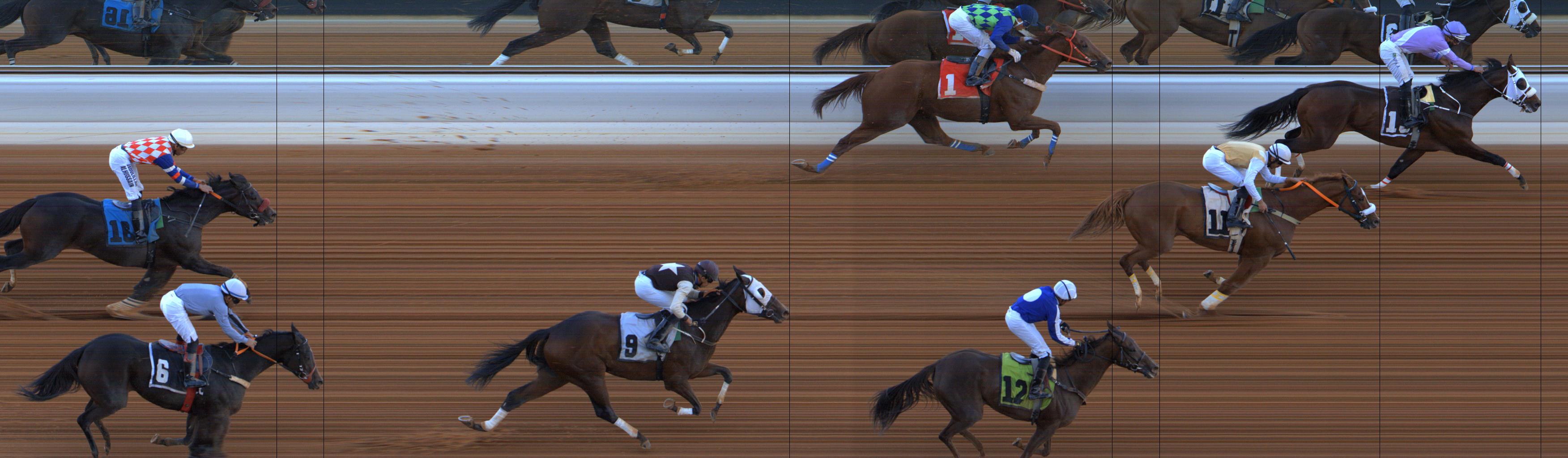 Photo finish — 2025-11-22