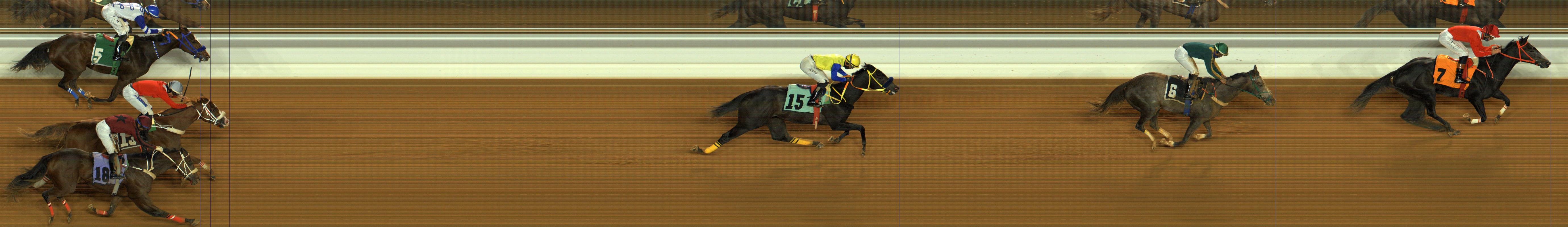 Photo finish — 2025-12-19