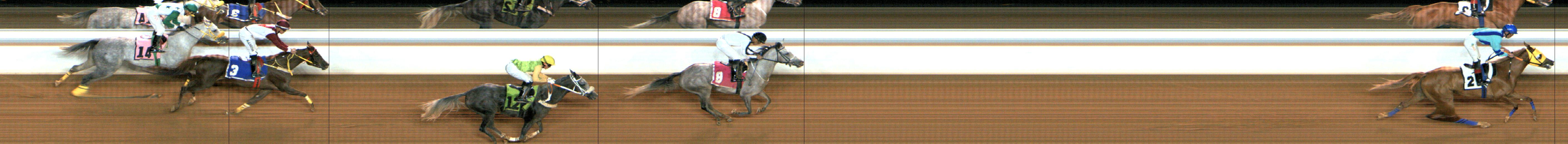 Photo finish — 2024-12-05