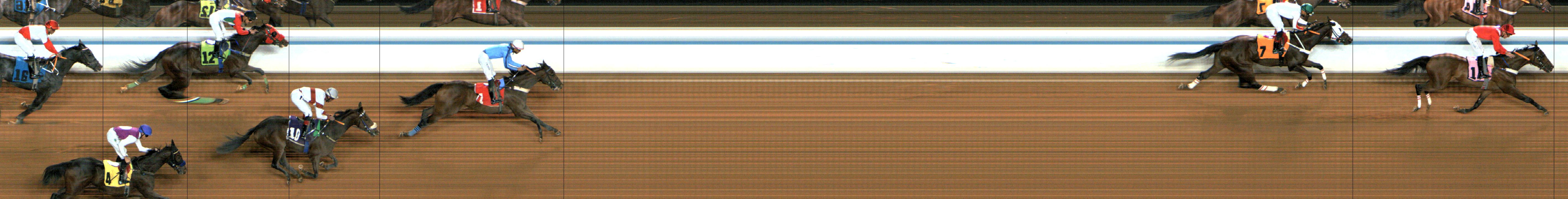 Photo finish — 2024-12-26