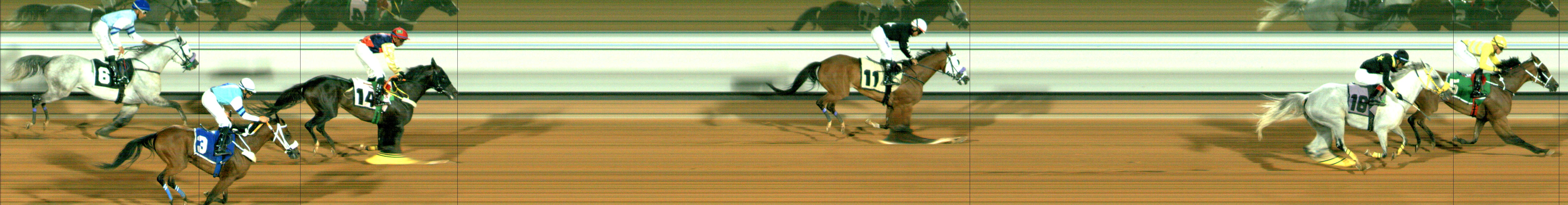 Photo finish — 2024-08-02