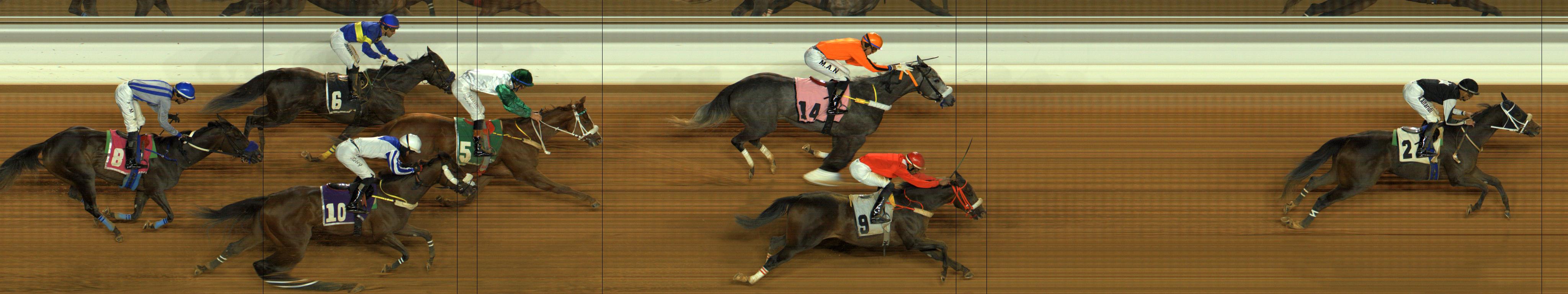 Photo finish — 2025-12-19