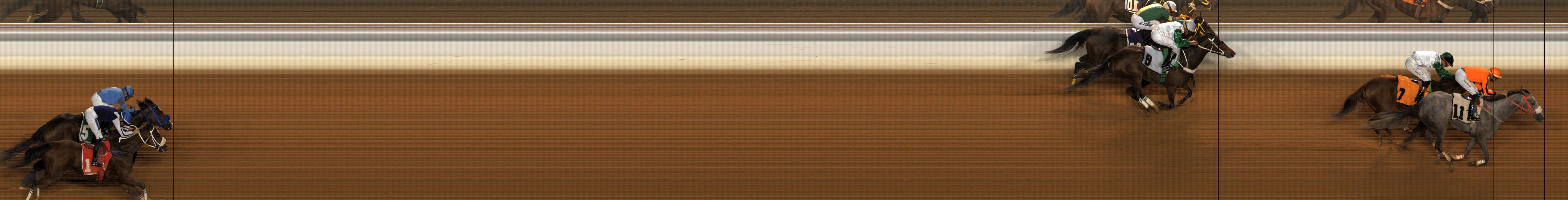 Photo finish — 2025-11-13
