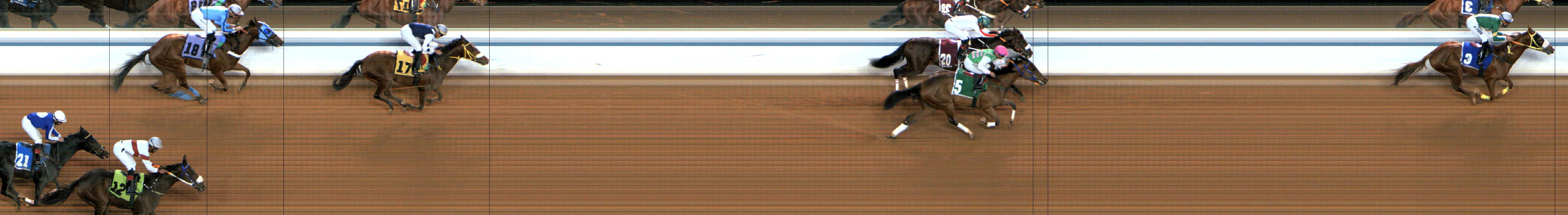 Photo finish — 2024-12-21