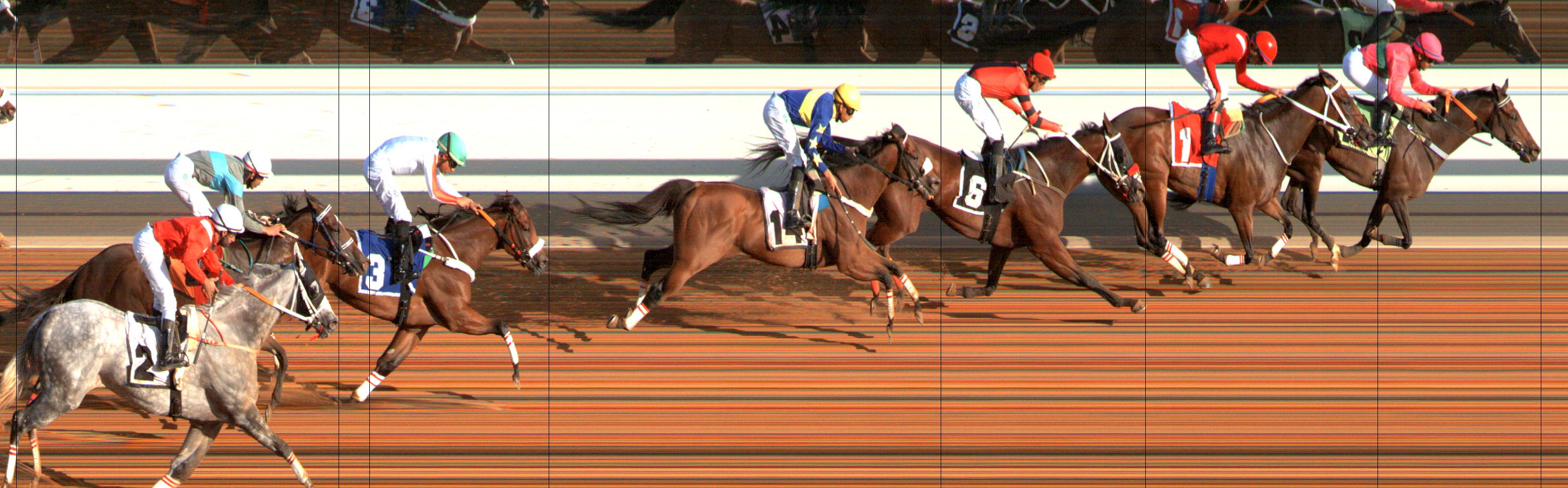 Photo finish — 2024-09-21