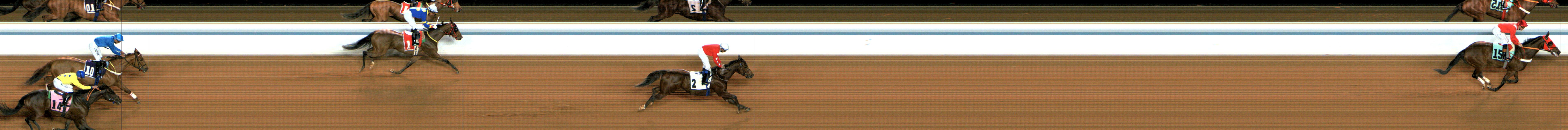 Photo finish — 2025-01-30