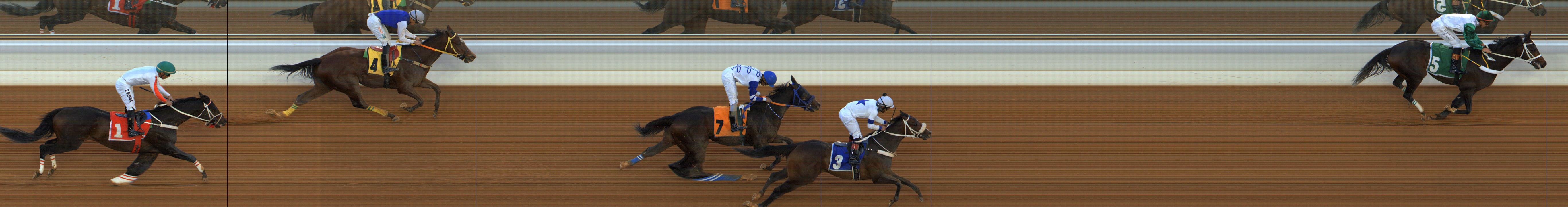 Photo finish — 2026-01-08