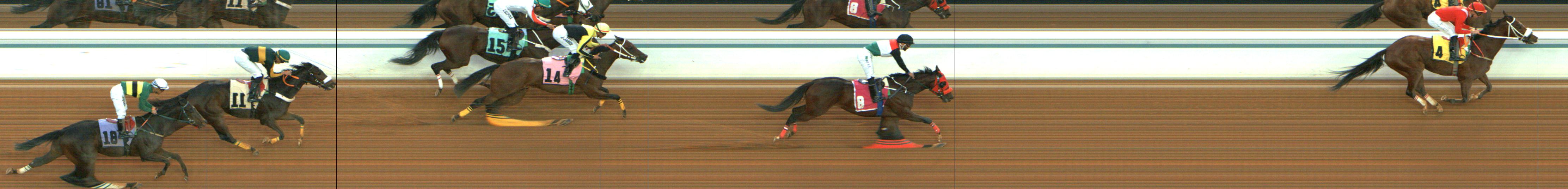 Photo finish — 2024-12-14