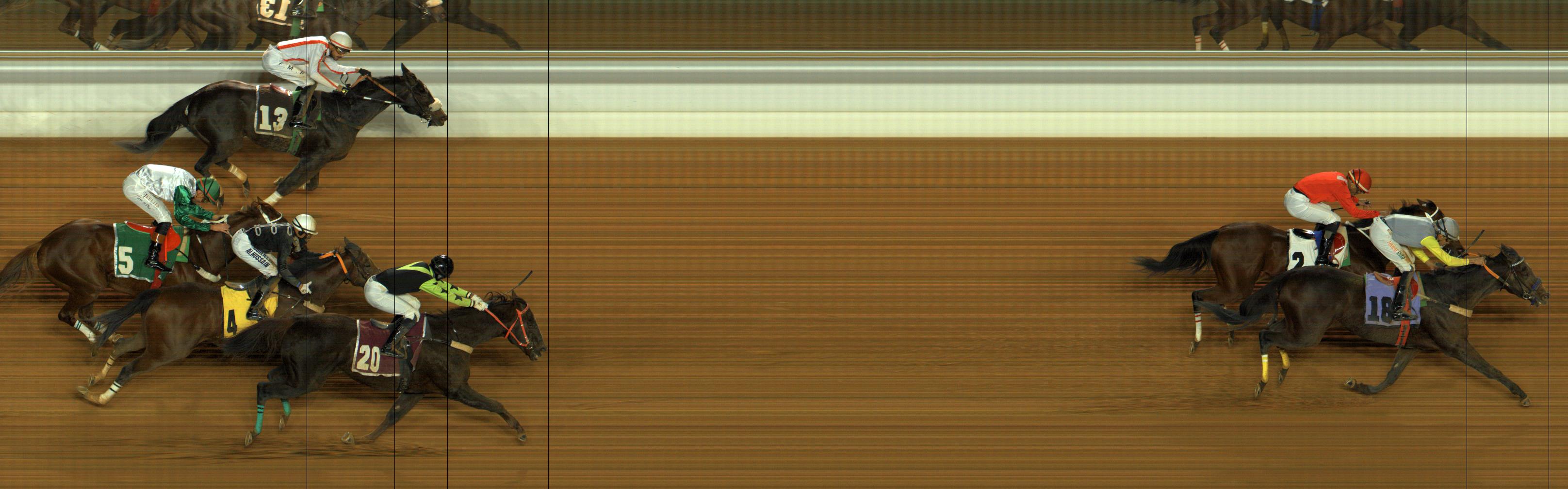 Photo finish — 2026-01-03