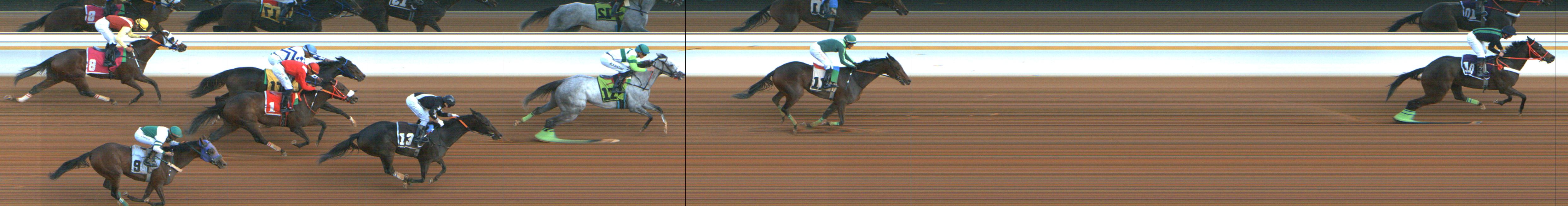 Photo finish — 2025-01-09