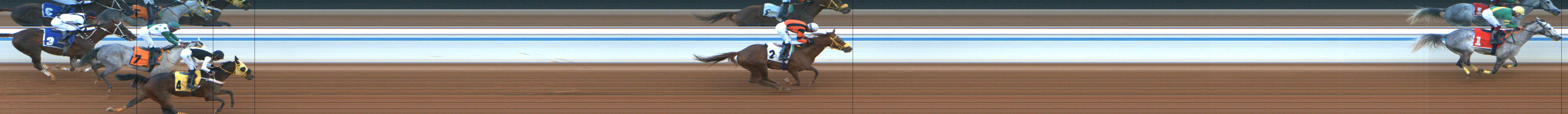 Photo finish — 2025-01-24