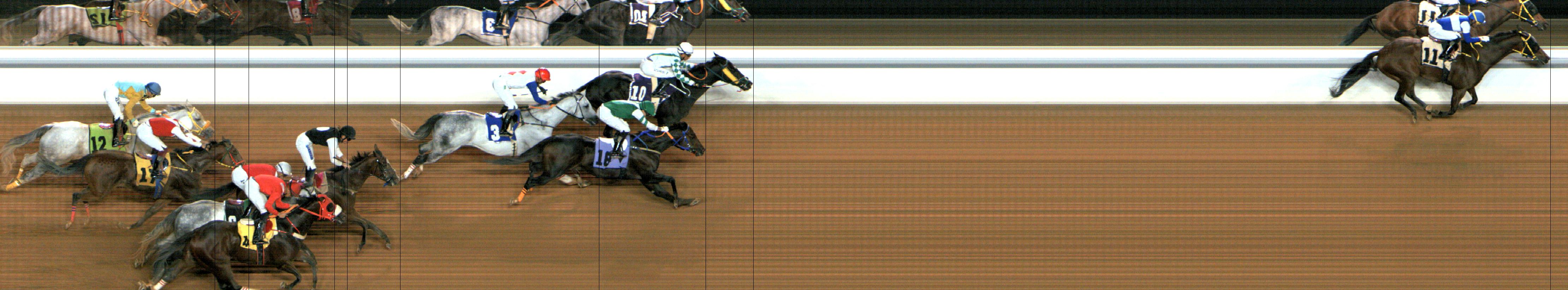 Photo finish — 2024-12-07