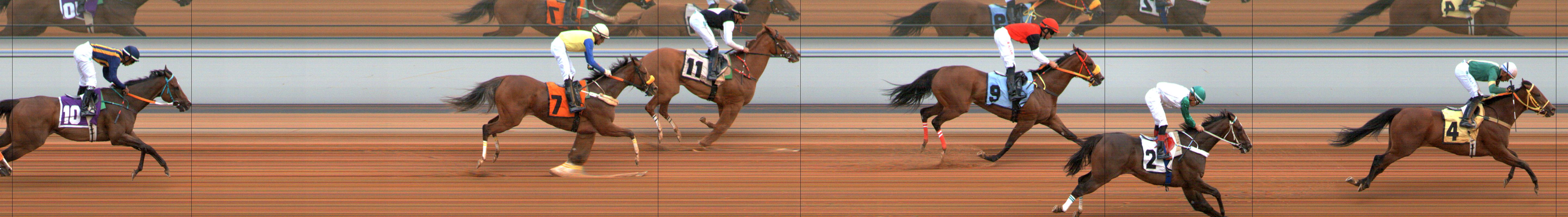 Photo finish — 2024-08-02