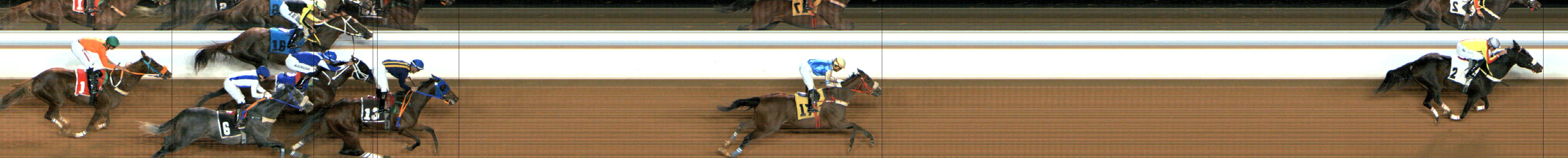 Photo finish — 2024-12-05