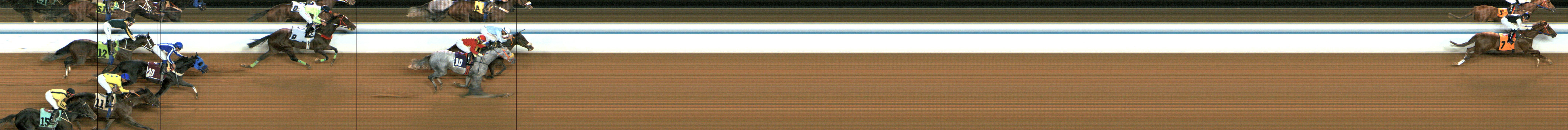Photo finish — 2024-12-12