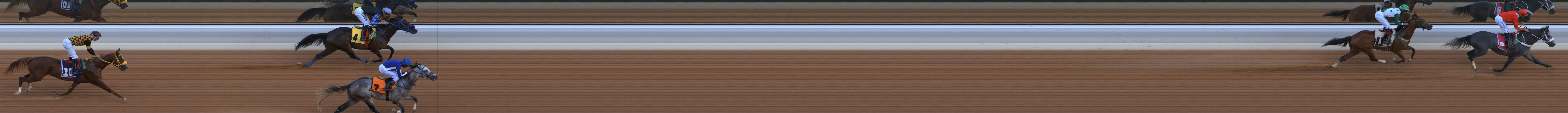 Photo finish — 2025-11-01
