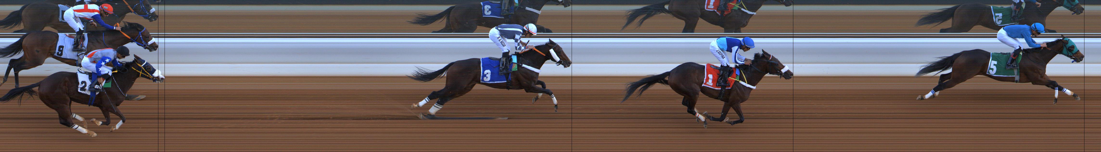 Photo finish — 2026-01-09