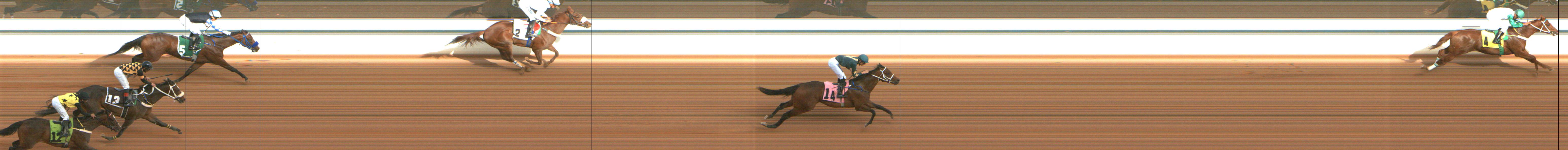 Photo finish — 2025-02-08