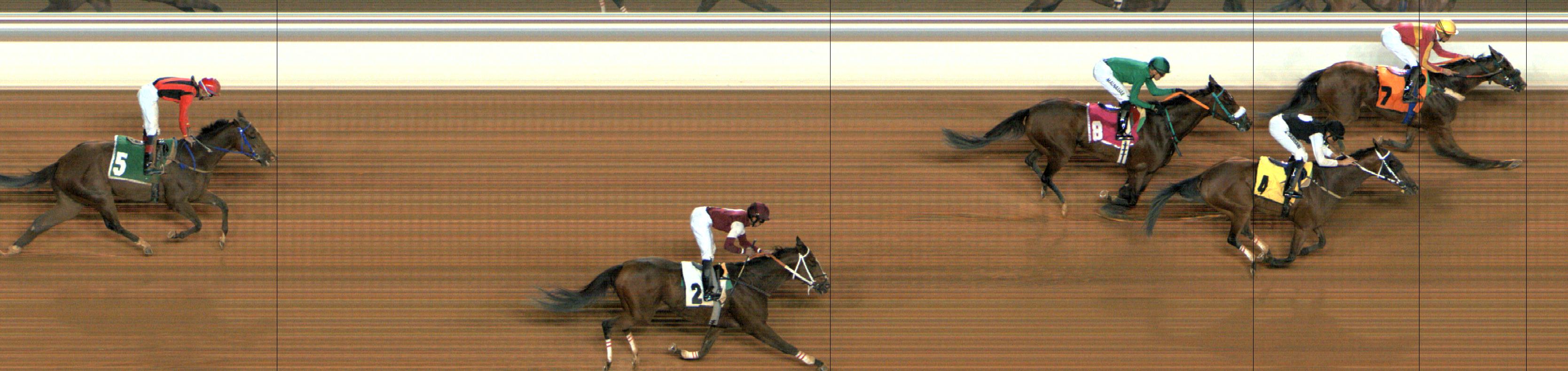 Photo finish — 2024-11-01