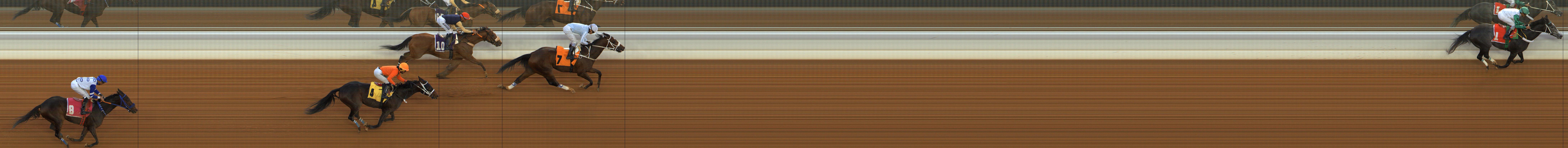 Photo finish — 2026-01-10