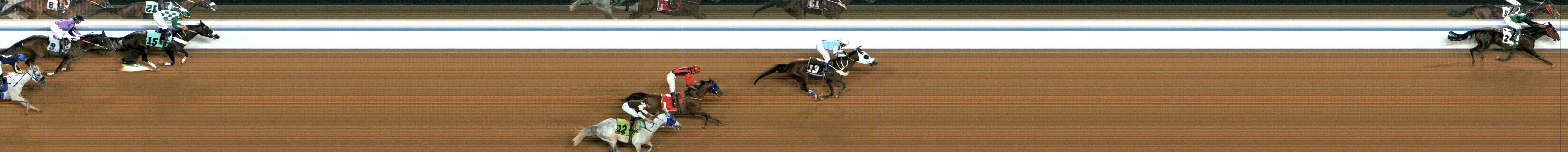 Photo finish — 2024-11-15