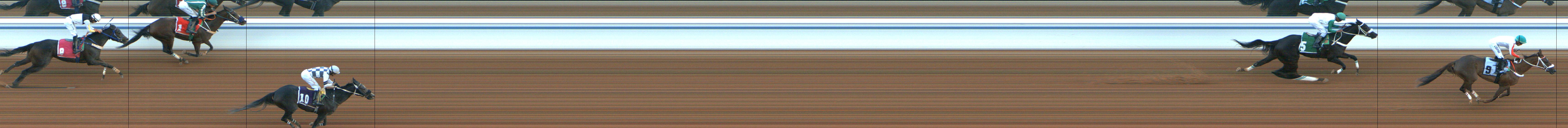 Photo finish — 2024-11-15
