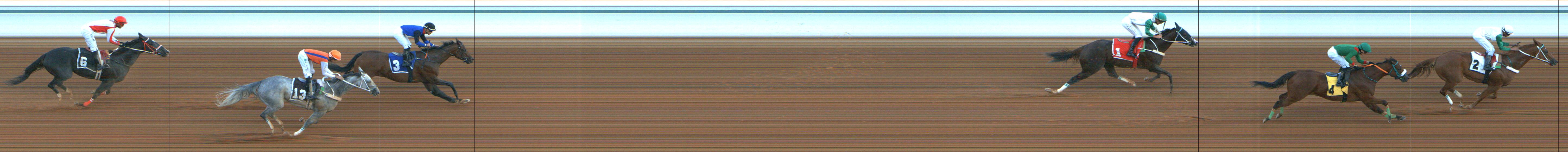 Photo finish — 2024-11-15
